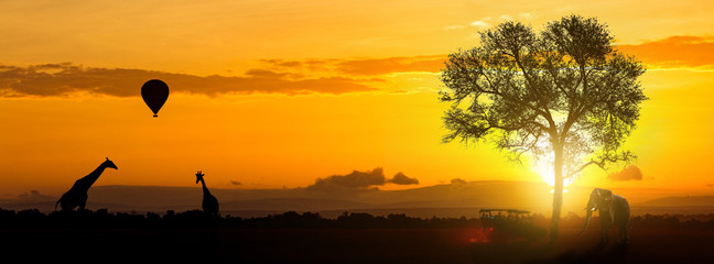 African Safari Adventure Header