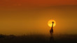 Masai Giraffe at Golden Sunset
