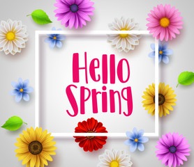 Wall Mural - Hello spring vector banner design with white boarder, greeting text and colorful elements like daisy flowers and leaves for spring season in white background. Vector illustration.
