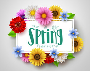 Wall Mural - Spring vector template design with spring text in white empty frame and colorful various flowers like daisy and sunflower elements in white background for spring season. Vector illustration.
