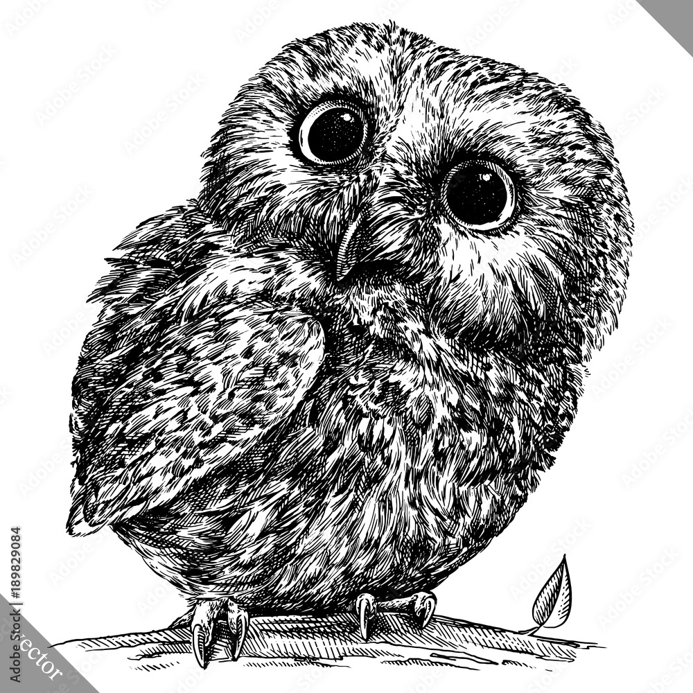 Poster Black And White Engrave Isolated Owl Vector Illustration