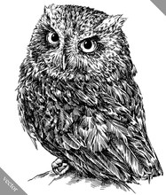Black And White Engrave Isolated Owl Vector Illustration