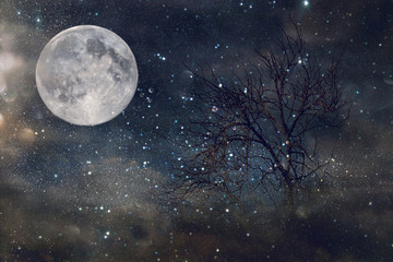 surreal fantasy concept - lonely tree with bare branches and full moon with stars glitter in night s