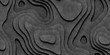 © Aleksander - Gray Seamless Topographic Landscape Background. Wavy Relief Illustration Texture.