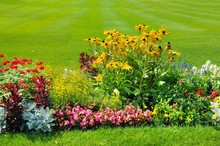 Summer Flowerbed And Green Lawn.