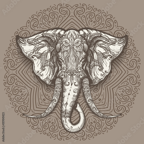 hand-drawn-elephant-head-on-mandala-background