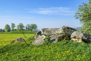 Sticker - Passage grave with blooming dandelions in a rural summer landscape