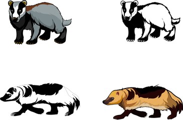 Wall Mural - Badgers and Wolverines isolated vector illustration, isolated on white