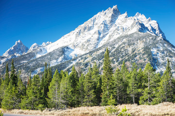 Wall Mural - Grand Teton National Park, Wyoming, United States of America.	