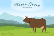 Cow And Rural Meadow On The Mountain Background. Natural Landscape.