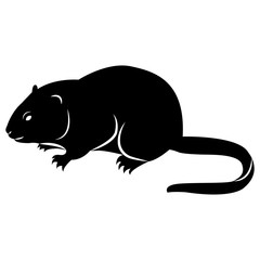 Wall Mural - Vector image of silhouette of muskrat on a white background