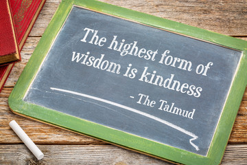the highest form of wisdom is kindness