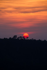 Wall Mural - Sunset sky and cloud background