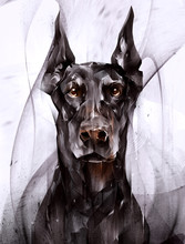 Painted Portrait Of An Animal Dog Doberman In Front