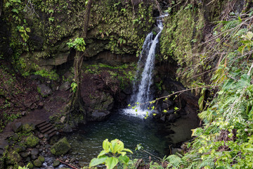 Wall Mural - Emerald Pool, Morne Trois Pitons National Park, Dominica