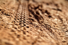 Bike Tire Tracks On Muddy Trail Royalty. Tire Tracks On Wet Muddy Road, Abstract Background, Texture Material. Tyre Track On Dirt Sand Or Mud, Retro Tone, Grunge Tone, Drive On Sand, Off Road Track.