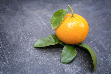 Orange with leaves on grey background