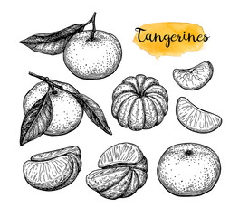 Canvas Print - ink sketch of tangerines.