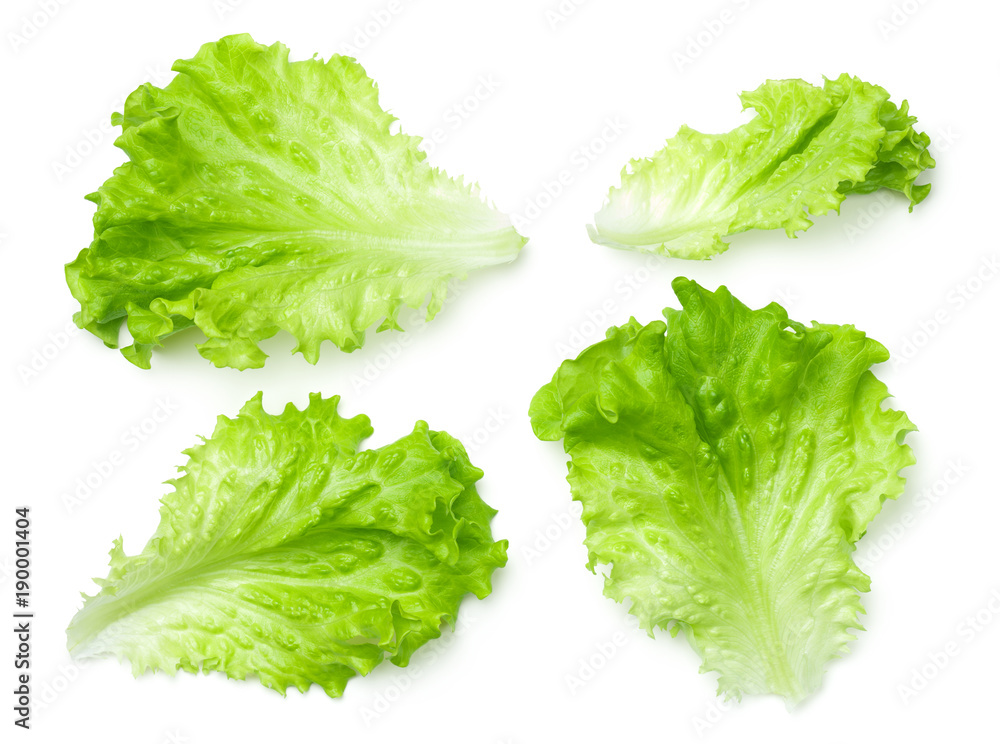 Lettuce Salad Leaves Isolated on White Background - obrazy, fototapety, plakaty 