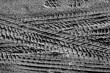 Tyre tracks on sand in black and white.