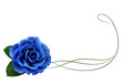 Realistic blue rose, border.