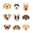 Flat style dog head icons. Cartoon dogs faces set. Vector illustration isolated on white