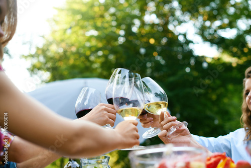 People Cheering With Drinks At Outdoor Dinner Party Poster