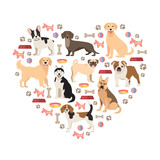 Fototapeta Pokój dzieciecy - Dog lovers flat style collection. Cartoon dogs breeds set. Vector illustration isolated on white