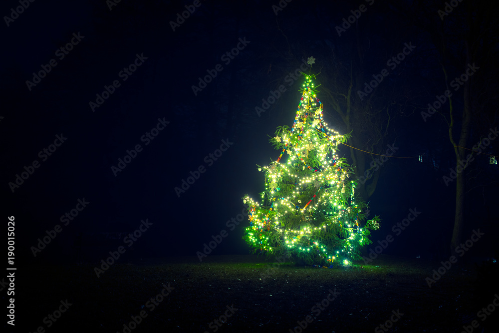 Glowing Christmas tree in park of a small city at night Stock Photo ...