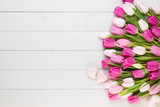 Fototapeta Tulipany - Pink tulip on the white background. Easter background.