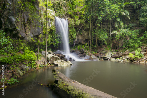 Fotografia, Obraz Curtis Falls is a popular tourist destination on Mount Tamborine in the Gold Coast hinterland, Queensland, Australia