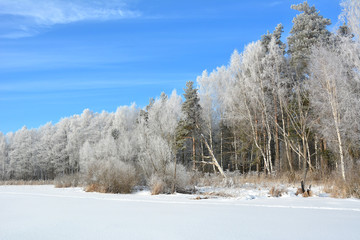 Wall Mural - Russia. Winter landscape