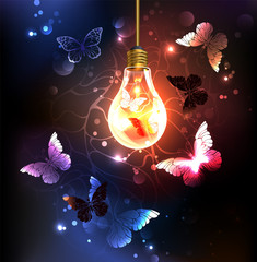 bulb with night butterflies