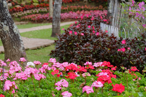 Beautiful flower garden and walkway