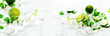 Homemade lime lemonade with cucumber, rosemary and ice, white background. Cold beverage, detox water. Copyspace. Banner