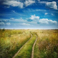 Wall Mural - Summer country road and fields on the background of the blue beautiful cloudy sky. 