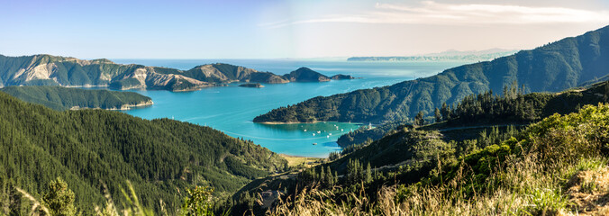 Wall Mural - Queen Charlotte Sound in New Zealand