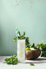 Wall Mural - Glass of coconut milk mojito cocktail with fresh mint, limes, crushed ice, retro cocktail tubes with ingredients above. Pin up style, sunlight, green background. Toned image