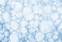 Foam Cells Closeup