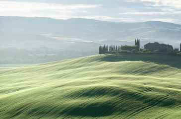 Wall Mural - tuscany countryside panorama, italy
