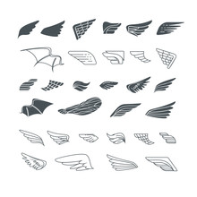 Wings. Set Of Design Elements. Vector Illustration.