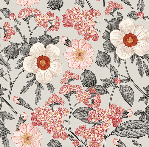 wzor-piekne-rozowe-kwitnace-realistyczne-pojedyncze-kwiaty-tlo-primula-hibiscus-heliotrope-mallow-polne-kwiaty-tapeta-grawerowanie