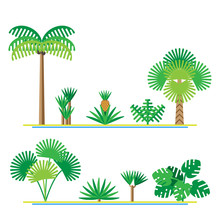 Set Of Tropical Plants Including Palms, Monstera, Yucca, Dracaena, Pineapple Tree. Vector Illustration In Flat Design.