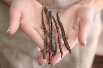 Wall Mural - Woman holding vanilla sticks, closeup