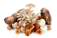 Variety Of Raw Mushrooms On White Background