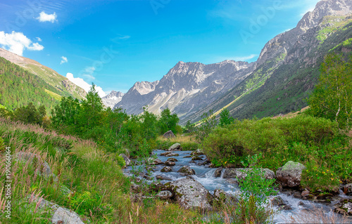 Obrazy Kaukaz  wawoz-gorski-z-poranna-laka-na-zielonej-trawie-i-kwiatach-otoczony-gorskimi-szczytami-latem-z-gorska-rzeka