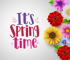 Wall Mural - it's spring time text in empty white background vector template with colorful various flowers like d