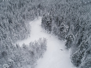 Wall Mural - High angle aerial view of frozen river bend and boreal forest covered by snow