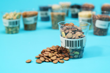 Sticker - seeds of lentils in the laboratory of Seed Certification  and Quality Control