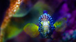 Rare tropical fish with vivid soft focus background